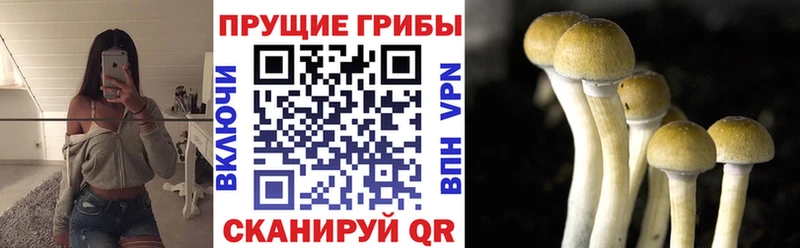 Псилоцибиновые грибы Magic Shrooms  Славск 